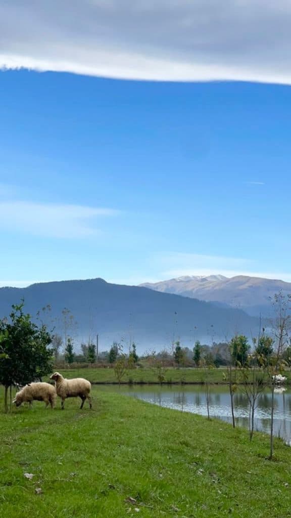 اجاره ویلای استخردار کلبه ی اسکندرپور در فومن