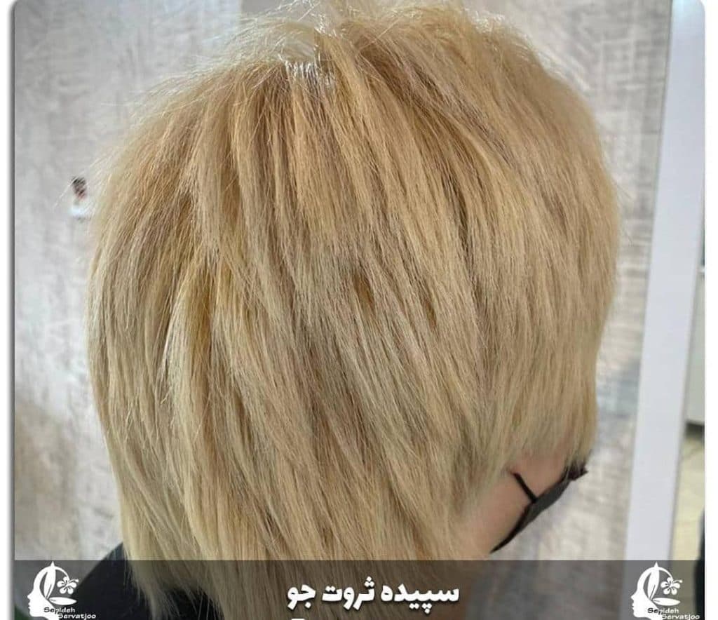 آموزش و خدمات صافی و احیا مو سپیده ثروت جو در چالوس