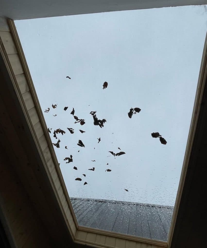 اجاره کلبه کازابلانکا در بابلکنار بابل