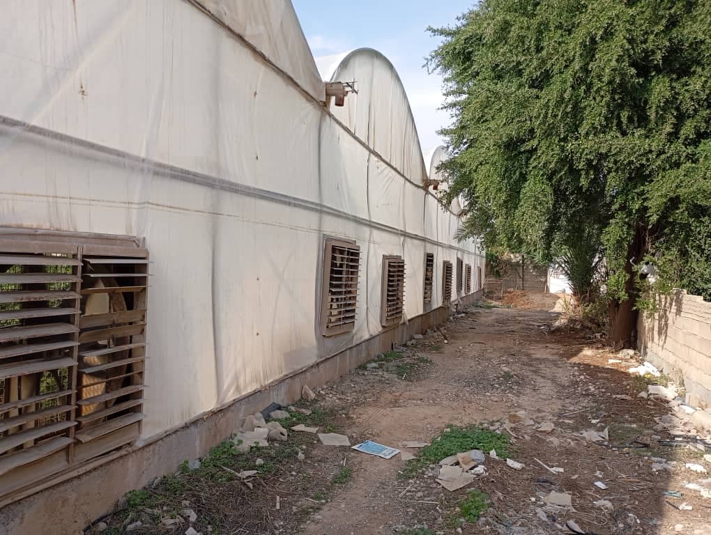 طراحی و ساخت گلخانه آوین سازان جهان سبز در میاندوآب