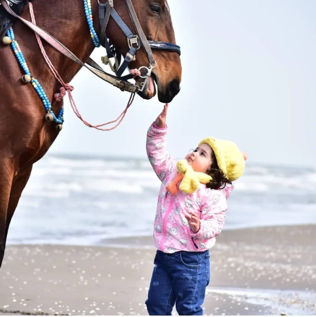 استخدام عکاس ساحل علی تکلو در رامسر