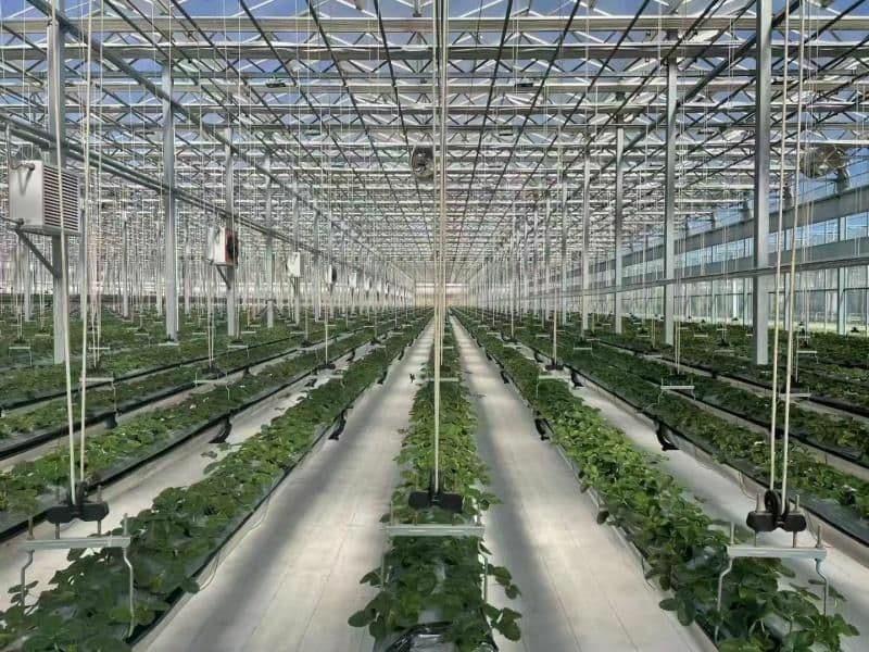 ساخت و پیمانکاری تجهیزات گلخانه ای نامداری در گلشن اصفهان