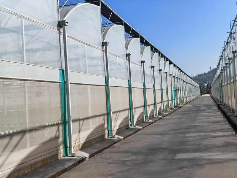 ساخت و پیمانکاری تجهیزات گلخانه ای نامداری در گلشن اصفهان