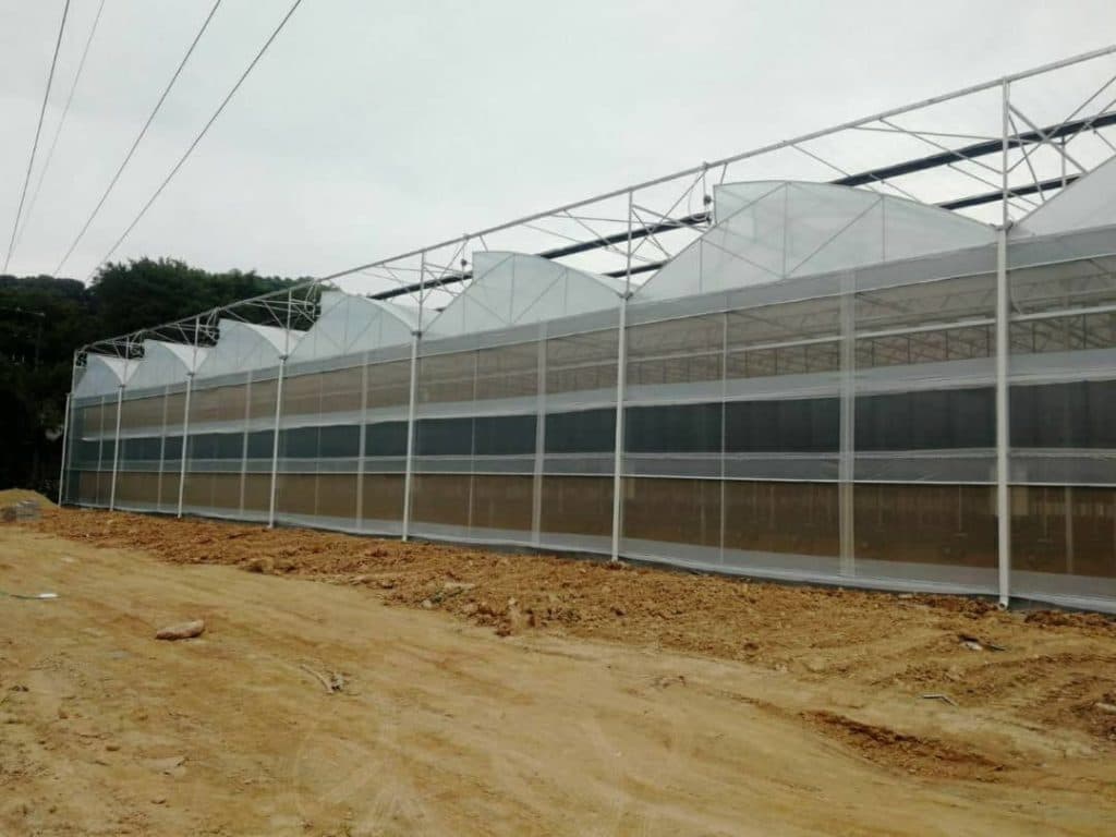 ساخت و پیمانکاری تجهیزات گلخانه ای نامداری در گلشن اصفهان