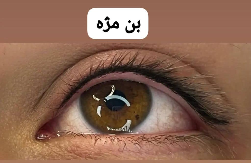 سالن زیبایی پناهی در سنندج