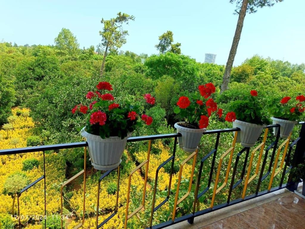 اجاره ویلا دو خوابه جنگلی چشم انداز عشورنژاد در رامسر