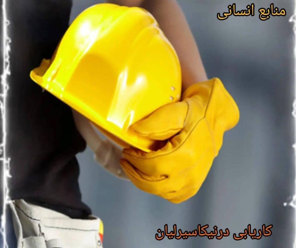 موسسه کاریابی درنیکا سیر لیان در بندر کنگان