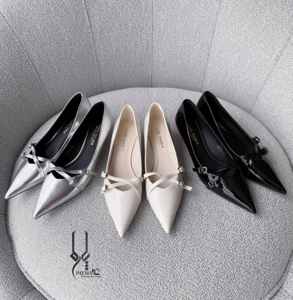 فروشگاه کیف و کفش پای ما در بابل