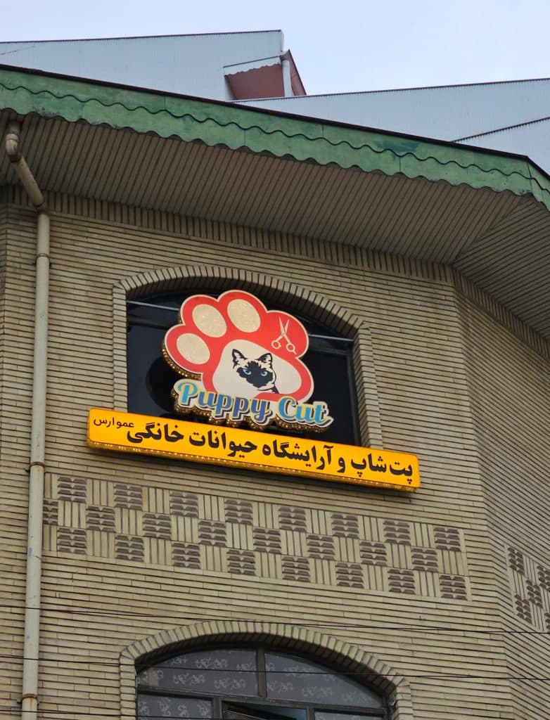 آرایشگاه حیوانات خانگی پاپی کات در رشت