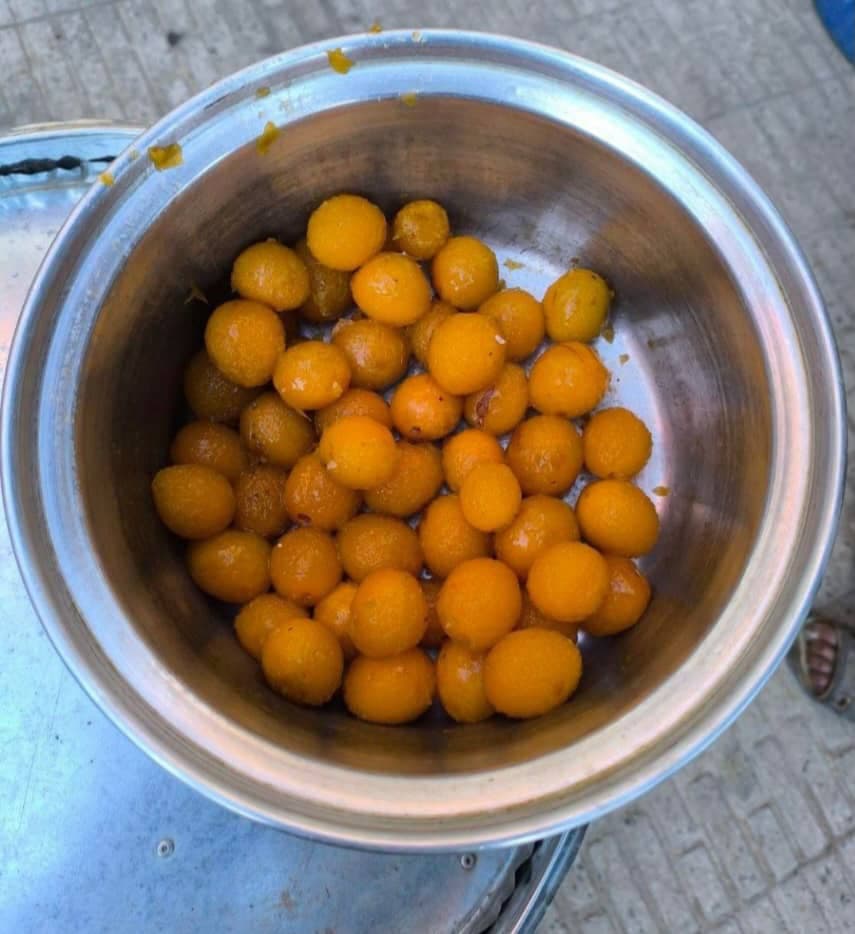 تولید و فروش دستگاه پوست کن آلو و میوه آیهان نیشابور