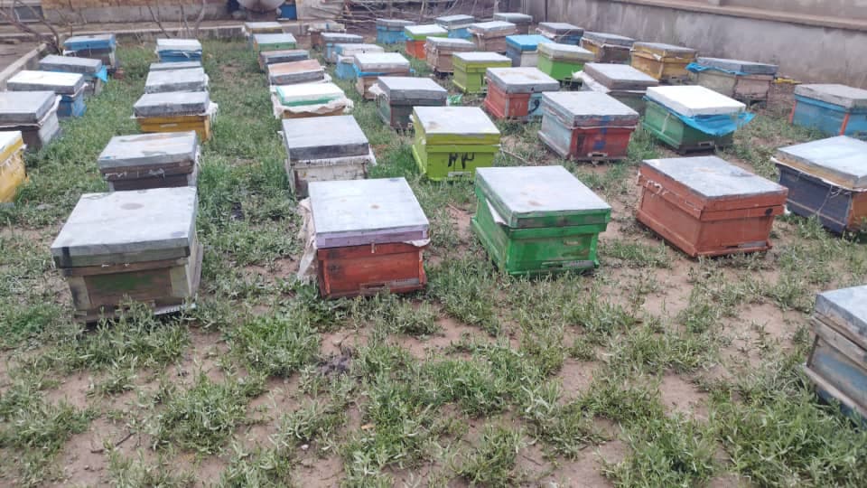 تولید و فروش عسل طبیعی زنبورستان عزیزی در میاندوآب