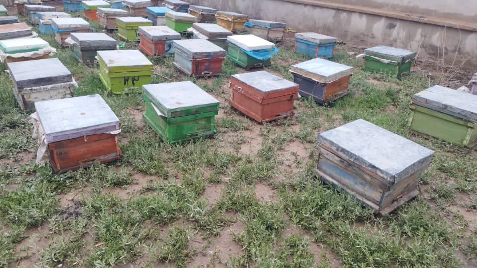 تولید و فروش عسل طبیعی زنبورستان عزیزی در میاندوآب