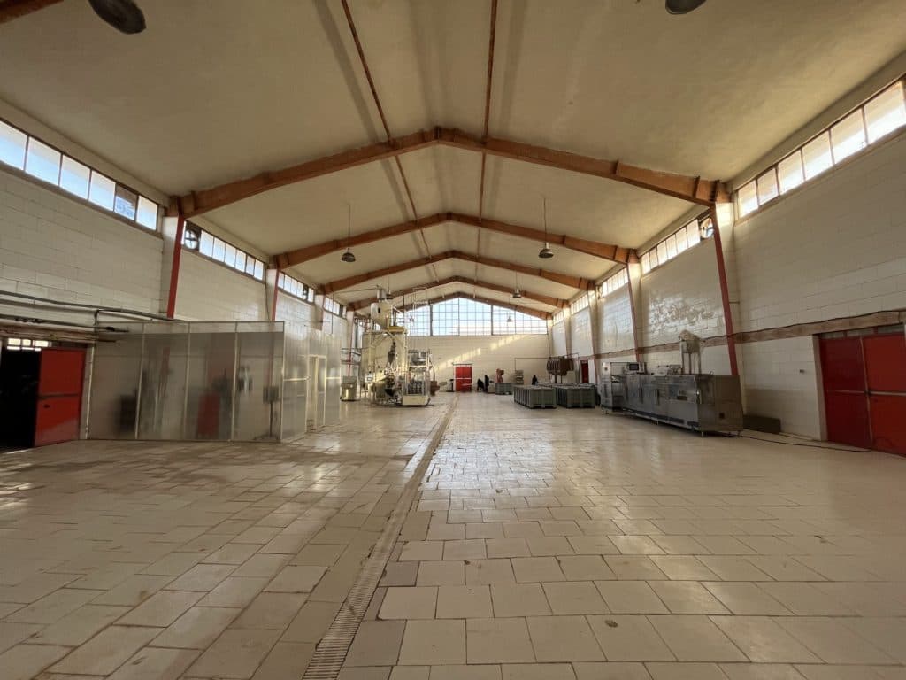 تولید قهوه سادریچ در رشت