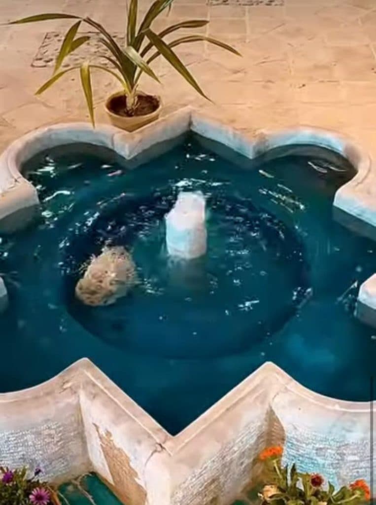 رستوران سنتی رها در بلوار مدرس یزد