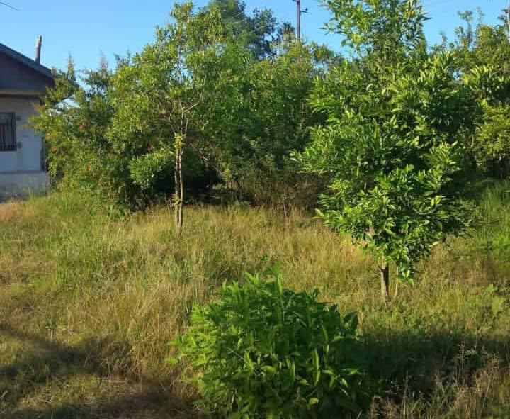 املاک کاشانه در زیباکنار رشت