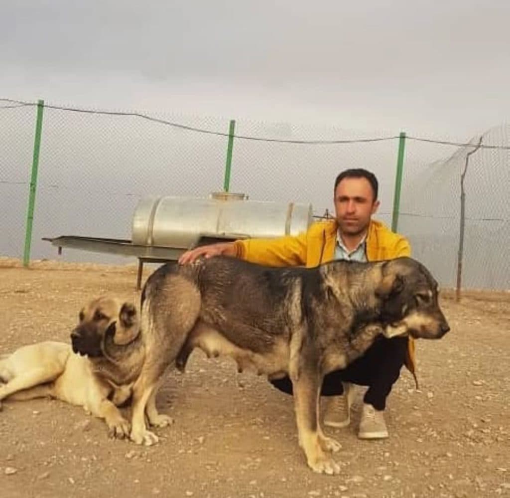 مشاور و پرورش دهنده حیوانات حیات وحش صمد نظمی در ماکو