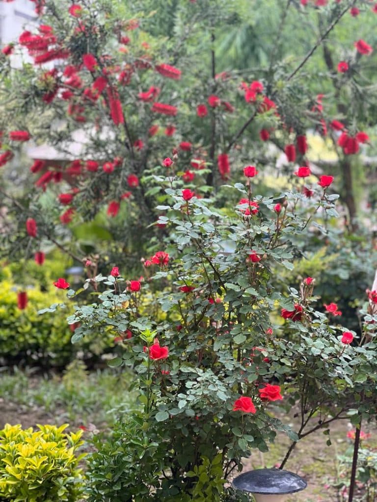 مجتمع اقامتی پذیرایی ستاره شهران