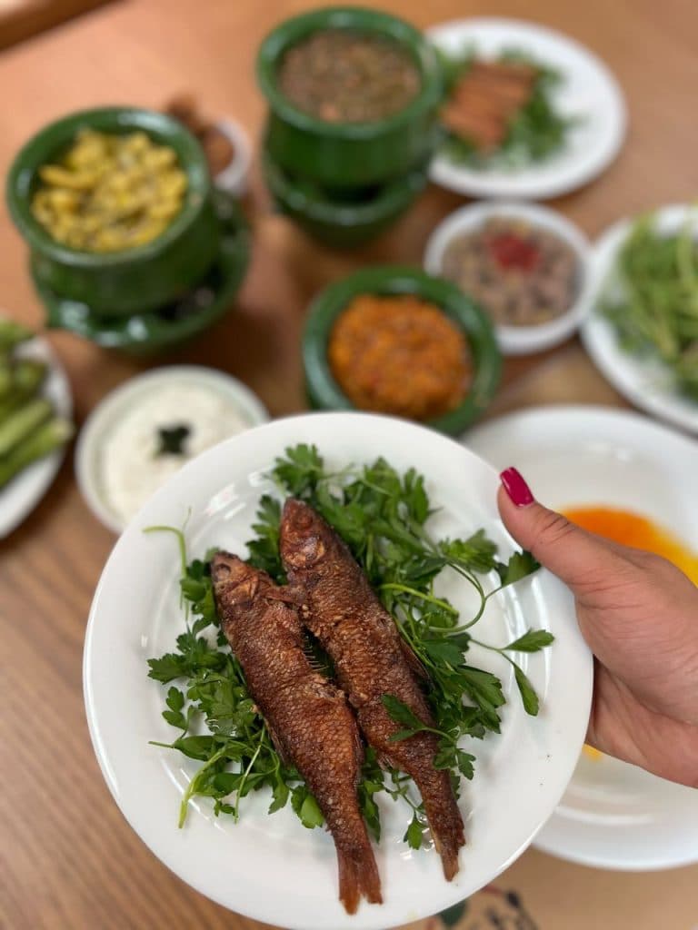 رستوران سنتی انارترش در رشت