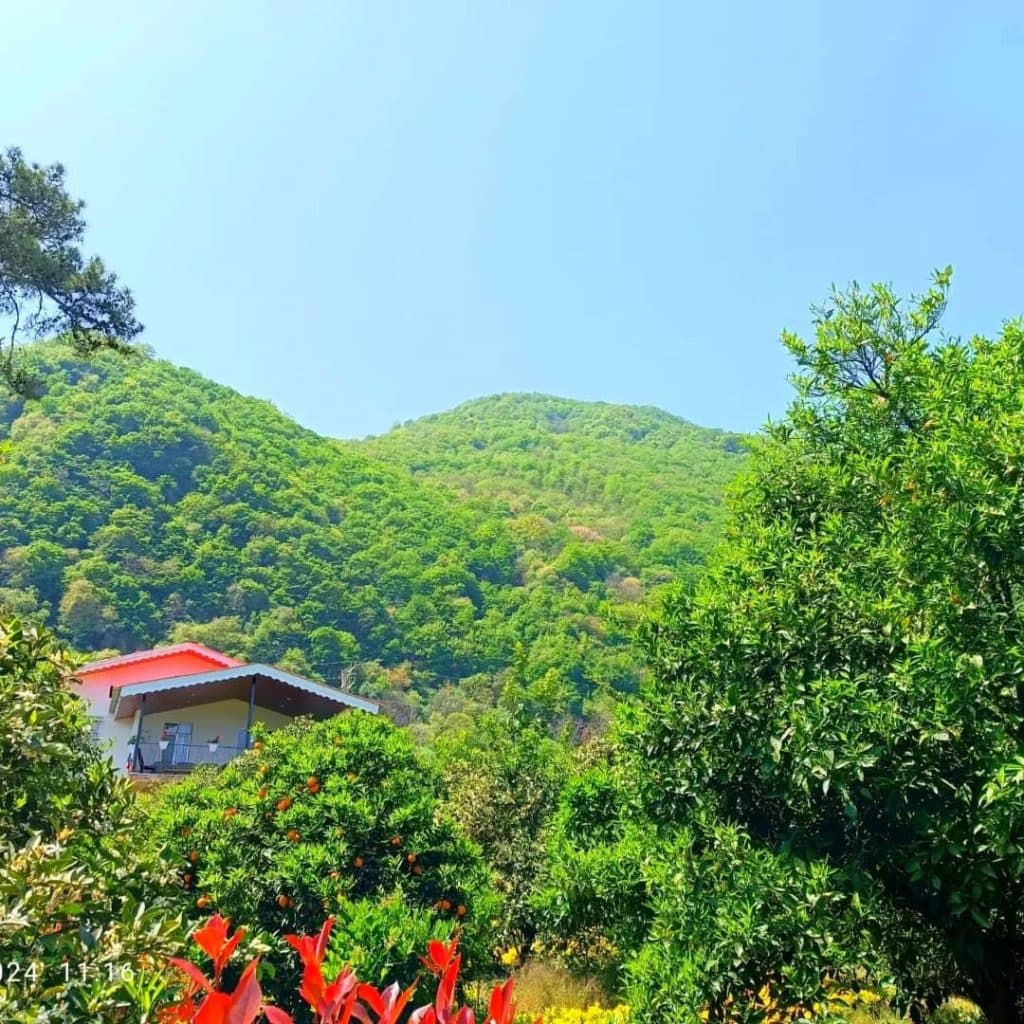 اجاره ویلا دو خوابه جنگلی چشم انداز عشورنژاد در رامسر