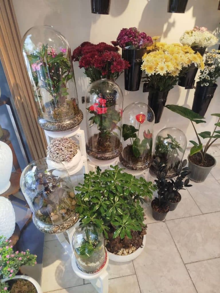 گلفروشی رز جاودان در بلوار فلسطین مشهد