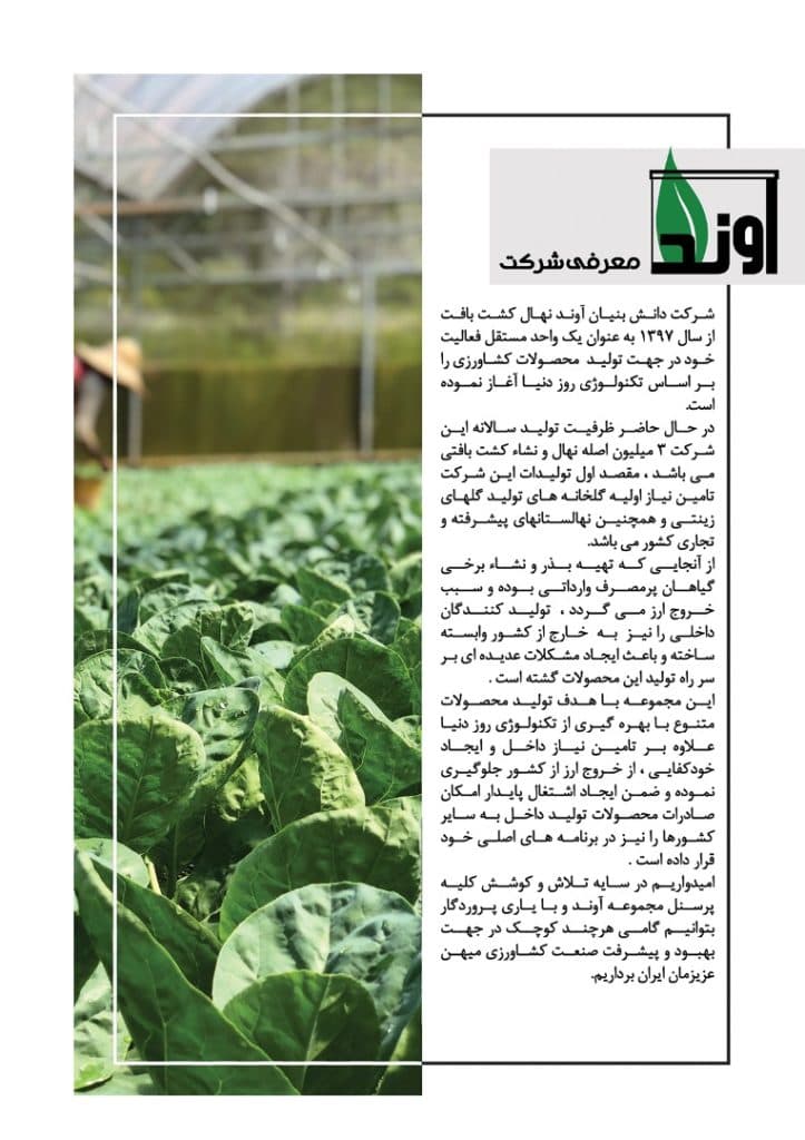 تولید نشا گل شاخه بریده شرکت دانش بنیان آوند در شهرکرد