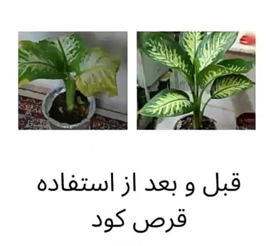 فروش عمده و جزئی قرص کود ارگانیک موسوی در غرب تهران