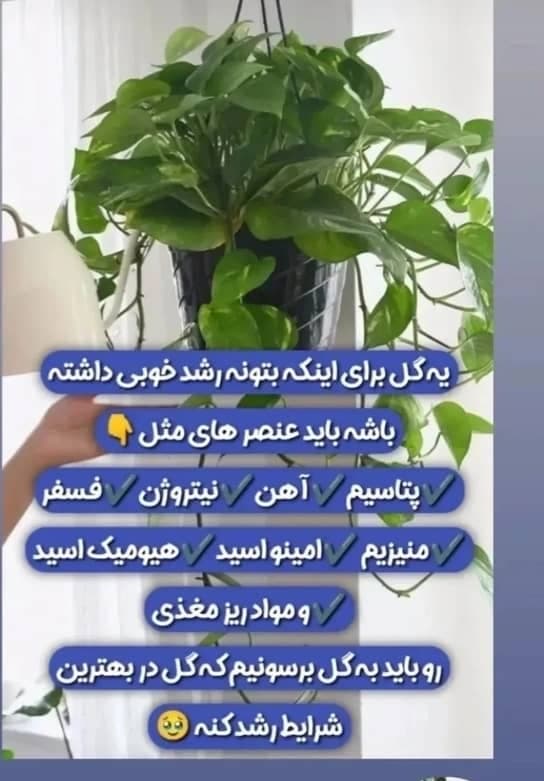 فروش عمده و جزئی قرص کود ارگانیک موسوی در غرب تهران