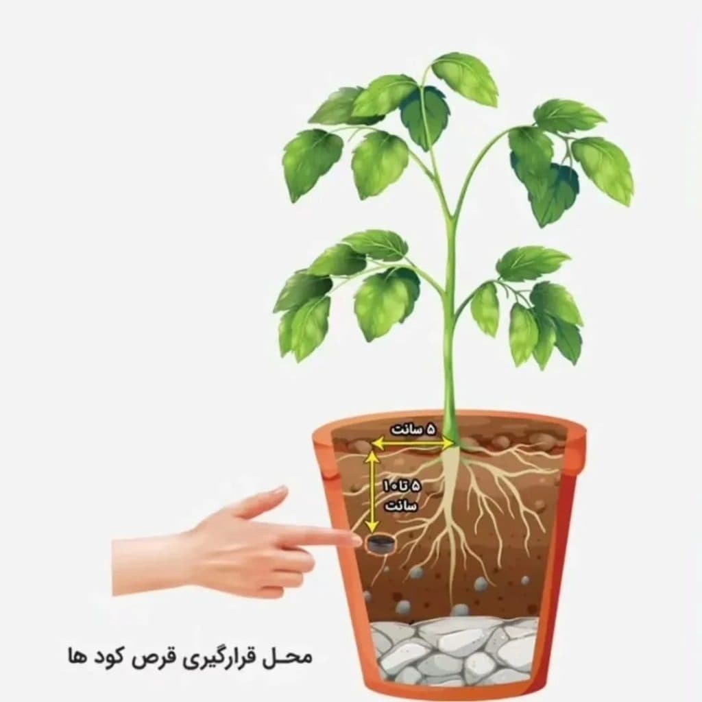 فروش عمده و جزئی قرص کود ارگانیک موسوی در غرب تهران