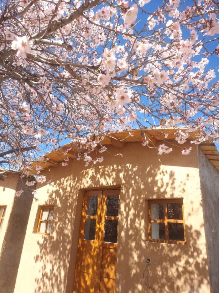 اقامتگاه بومگردی باغ شاه علی در بزنجان