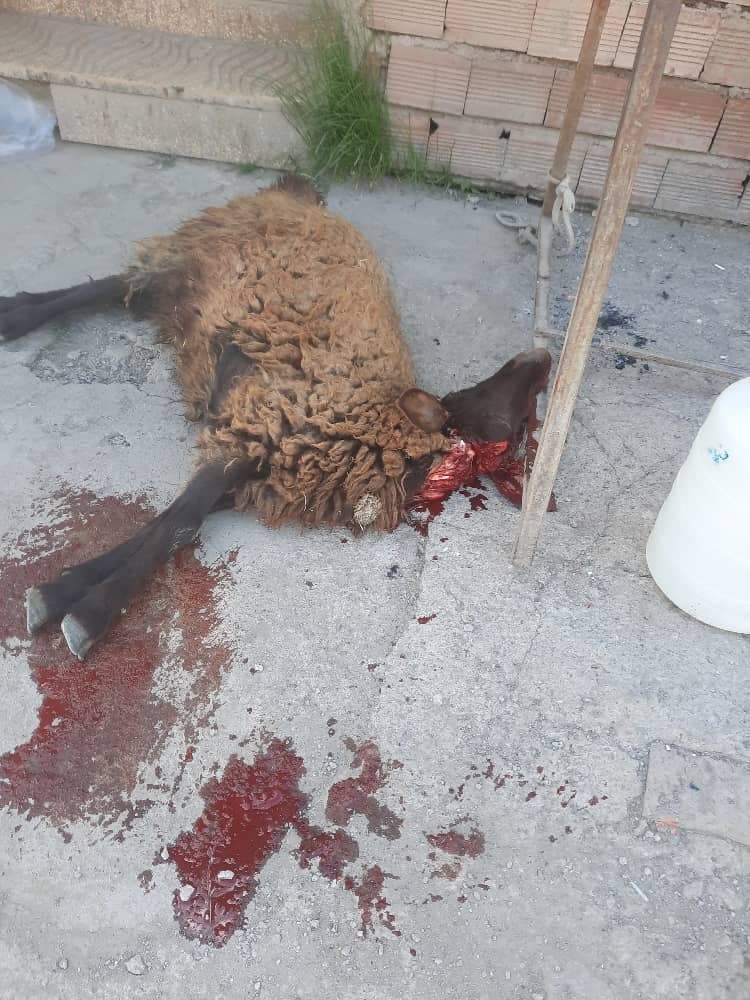 مجتمع گردشگری اقامتی دربند کوچولوی حمید سردابه اردبیل