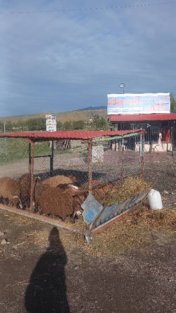 مجتمع کمپ گردشگری اقامتی خاکپور قلعه برزند در گرمی