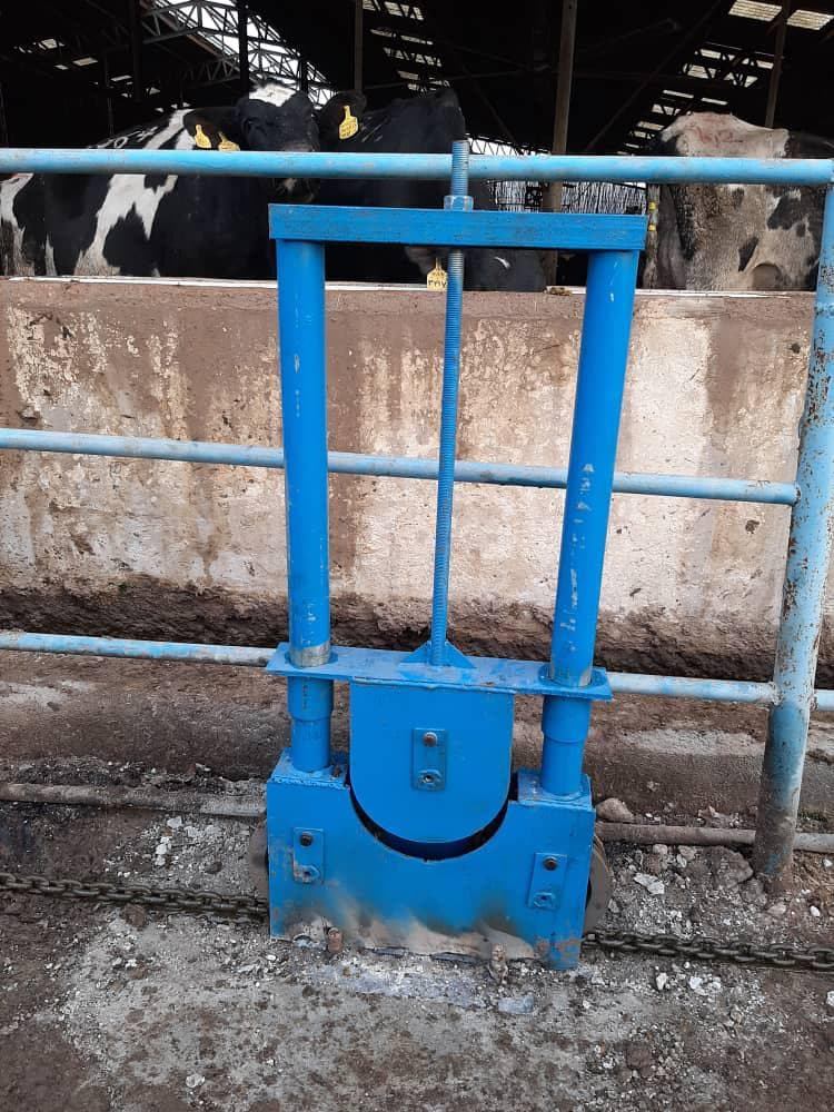 ساخت دستگاه اسکریپر زنجیری کود جمع کن گاوداری کوهفر قزوین