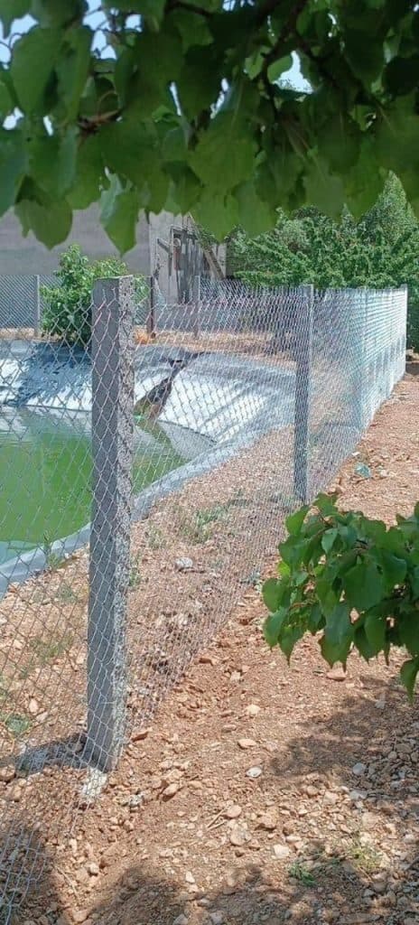 فنس کشی مرادی در زنجان