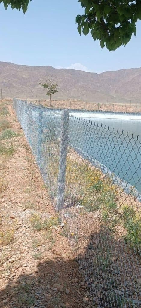 فنس کشی مرادی در زنجان