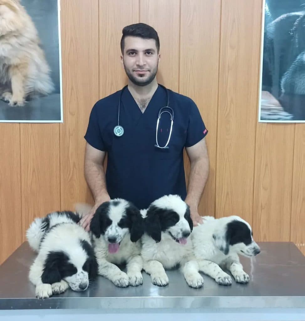 درمانگاه دامپزشکی دکتر هادی در اصفهان