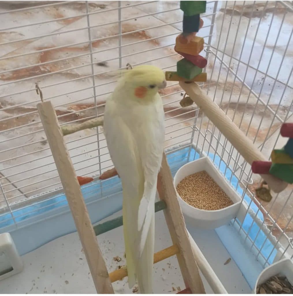 درمانگاه دامپزشکی دکتر هادی در اصفهان