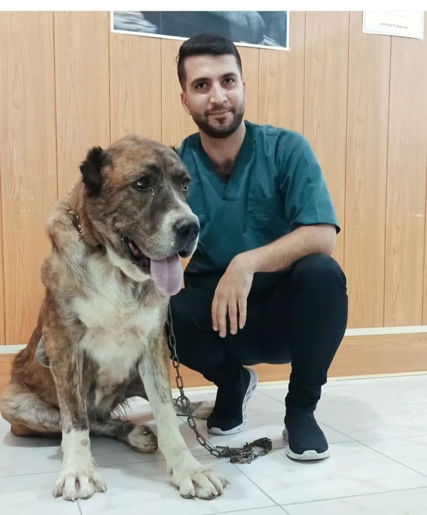 درمانگاه دامپزشکی دکتر هادی در اصفهان