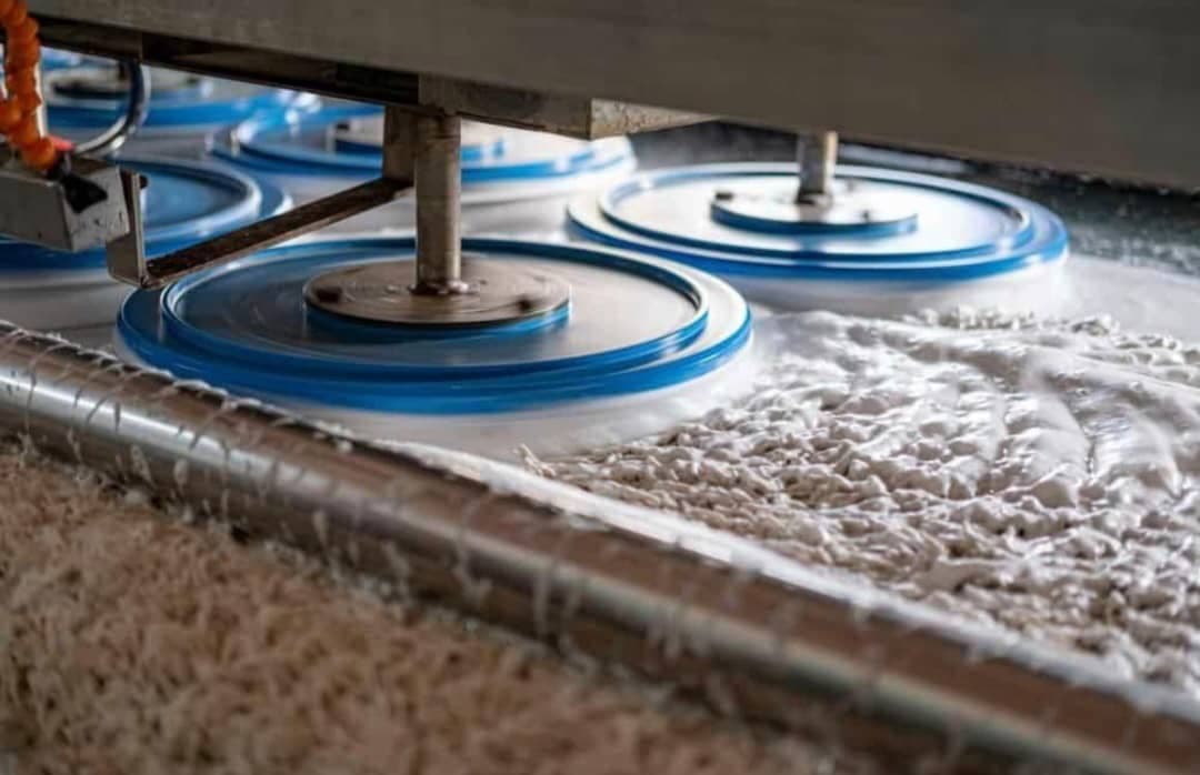 قالیشویی و مبل شویی جوان در یزد