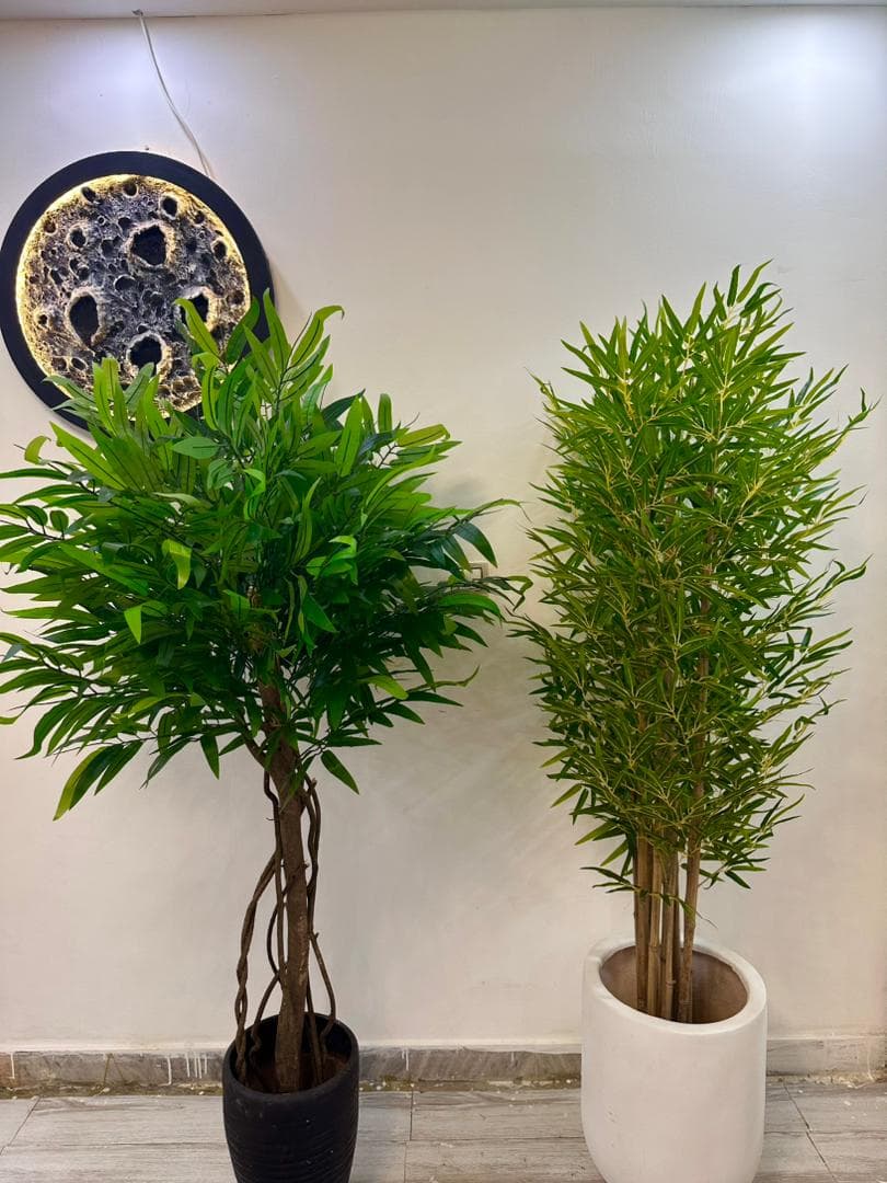 تولیدکننده و فروش درختچه مصنوعی پریسا در رشت