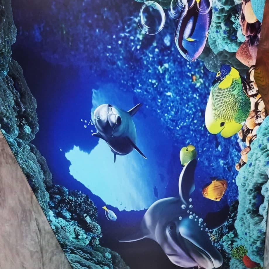 اجرای سقف کاذب کشسان پانیذ در یزد