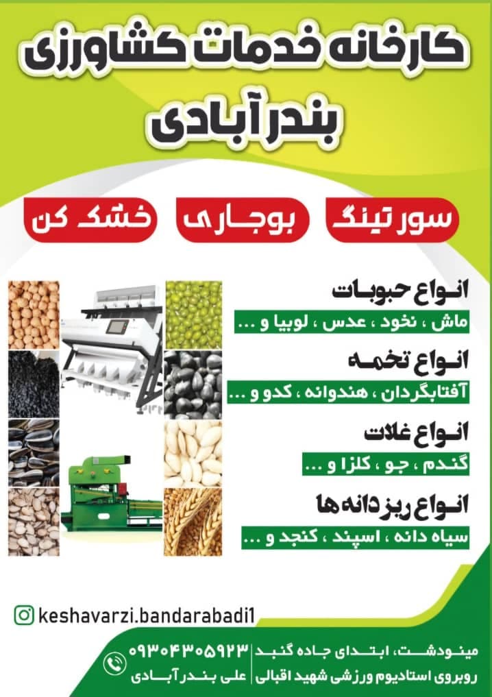 خدمات بوجاری و سورتینگ و خشک کردن محصولات کشاورزی بندرآبادی در مینودشت