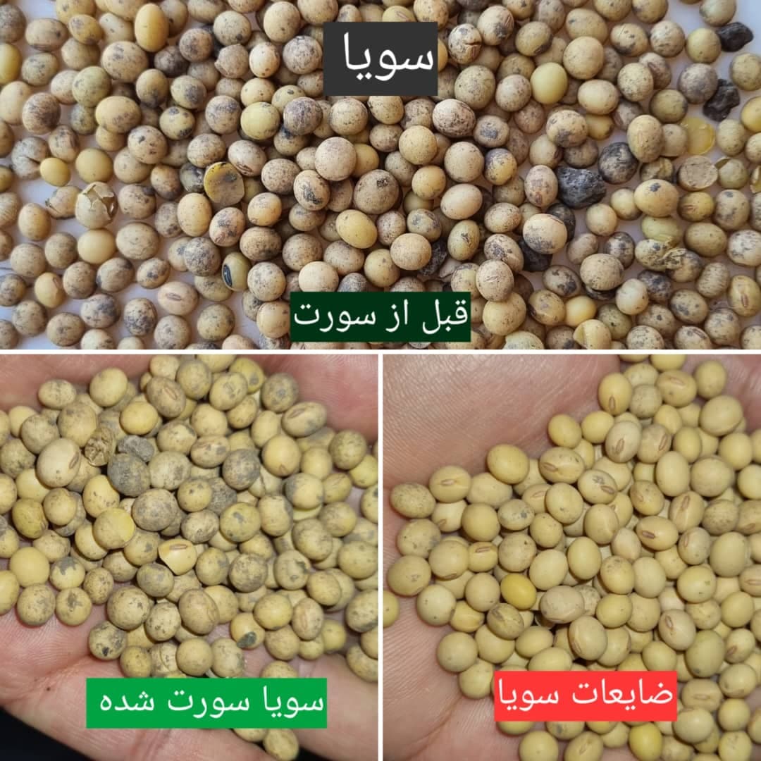 خدمات بوجاری و سورتینگ و خشک کردن محصولات کشاورزی بندرآبادی در مینودشت