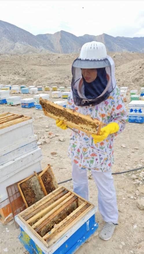تولید عسل خالص کنار در لامرد جنوب