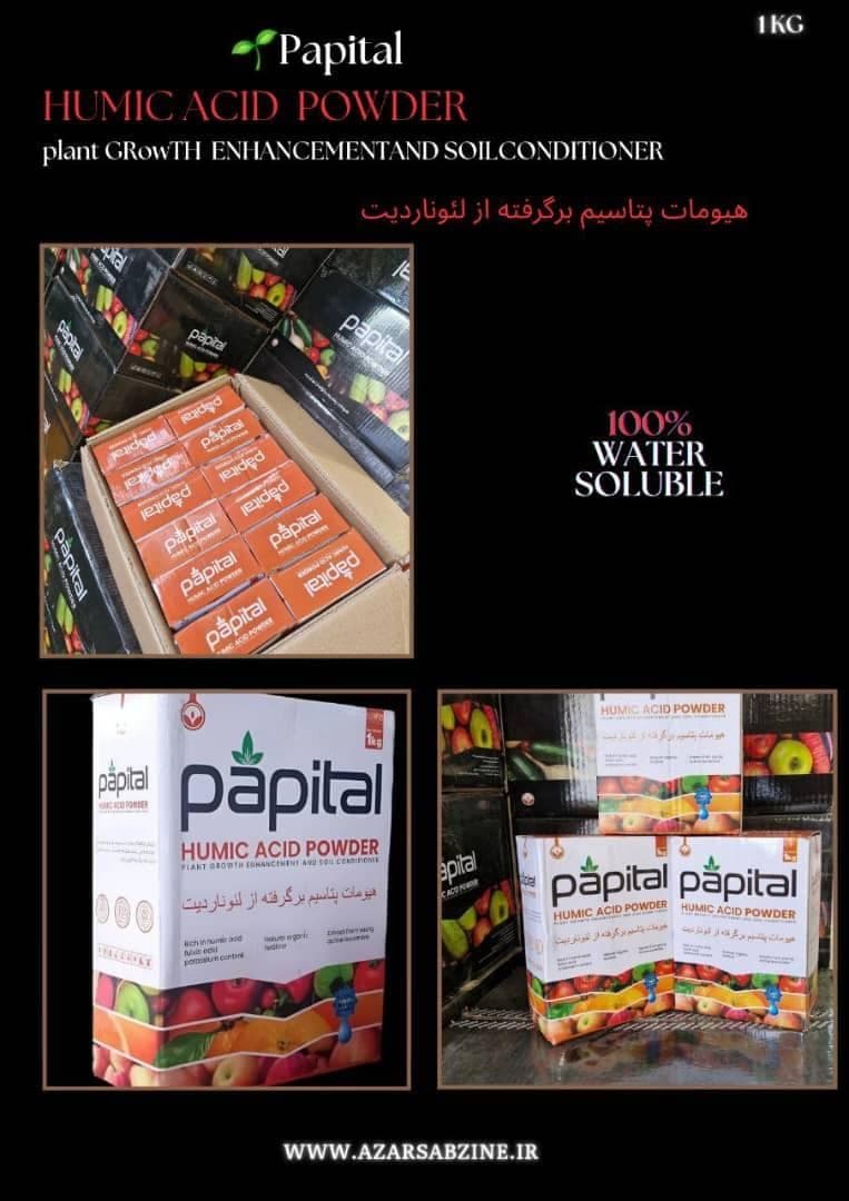 پخش عمده روغن ولک زمستانه آذر سبزینه رشد آسیا در ساری