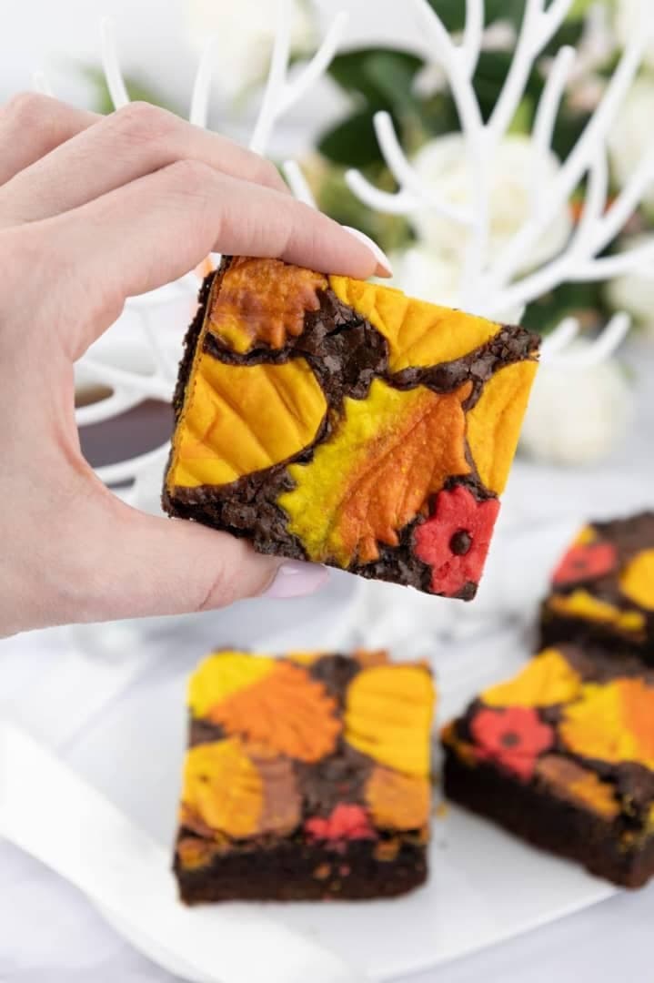 آموزشگاه فنی و حرفه ای آزاد آفتابگردان در مشهد