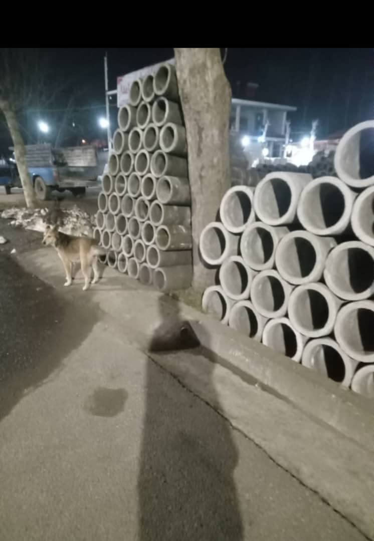 مصالح فروشی نامدار در کوچصفهان گیلان