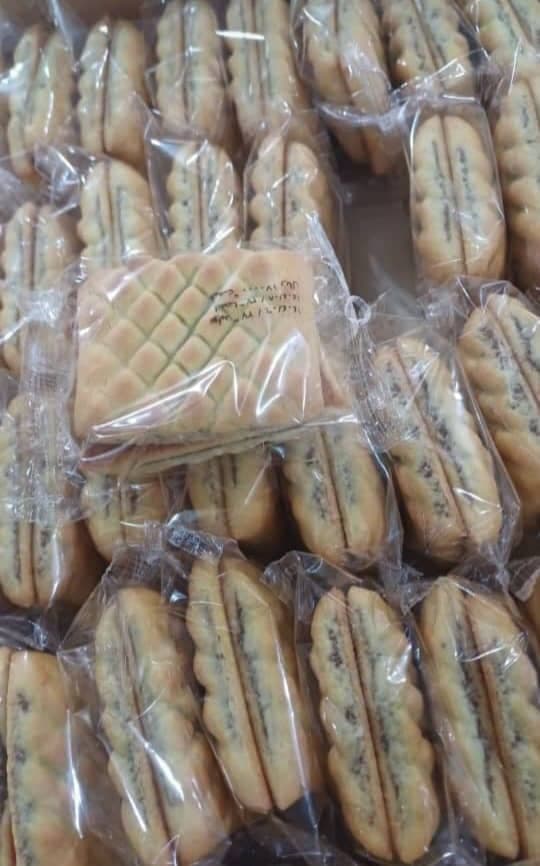 تولید کلمپه ی صنوبر شیرین رفسنجان