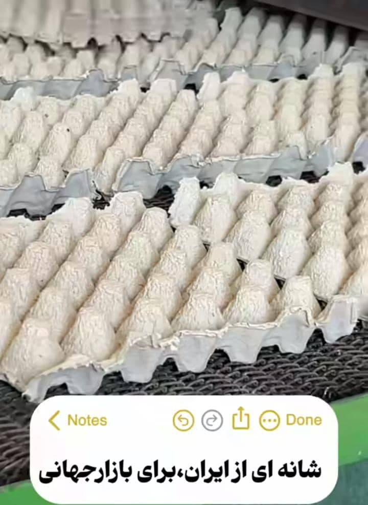 تولید و توزیع شانه تخم مرغ ایران شانه در کاشان