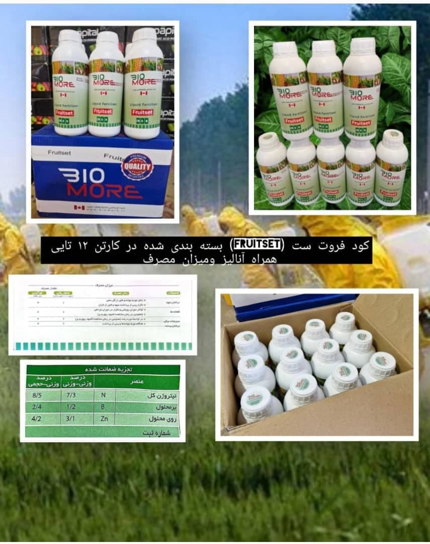 تولید و فروش روغن ولک زمستانه آذرسبزینه رشدآسیا در مشهد