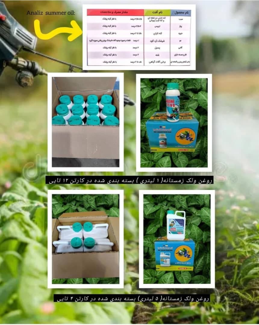 تولید و فروش روغن ولک زمستانه آذرسبزینه رشدآسیا در مشهد